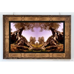 Ambienti Design - AA02 - 78 cm X 120 cm 2