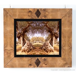 Ambienti Design - AA03 - 70,5 cm X 81 cm 2