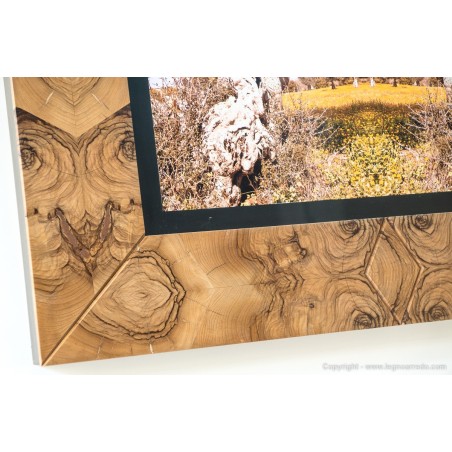 Ambienti Design - AA04 - 66,5 cm X 82 cm