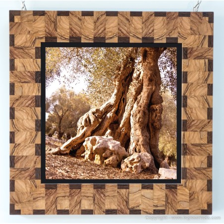 Ambienti Design - AA08 - 61,5 cm x 61,5 cm