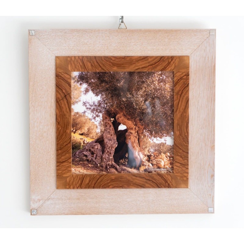 Arredo Design - Piccolo - DP12 - 40,5 cm X 40,5 cm