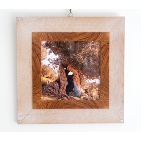 Arredo Design - Piccolo - DP12 - 40,5 cm X 40,5 cm